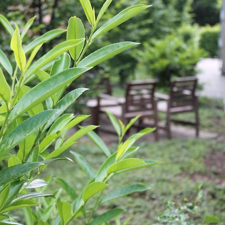 Pur Hotel Emlichheim Ngoại thất bức ảnh